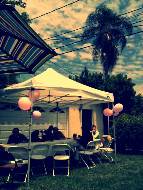 backyard-party.jpg
