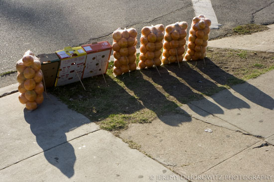 Fruit Stand by Jeremy D. Horowitz